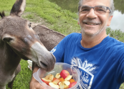 Goats and Donkeys