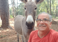 Goats and Donkeys