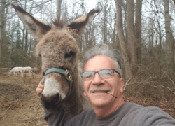 Goats and Donkeys