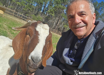 Wide Rescue Images - 1