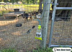 RESCUE Big Bag Fly Trap