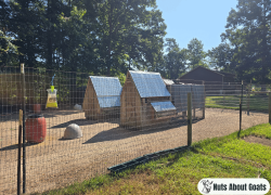 RESCUE Big Bag Fly Trap