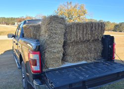 Western North Carolina