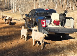 Western North Carolina