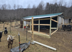 Western North Carolina