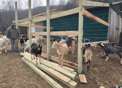 Western North Carolina