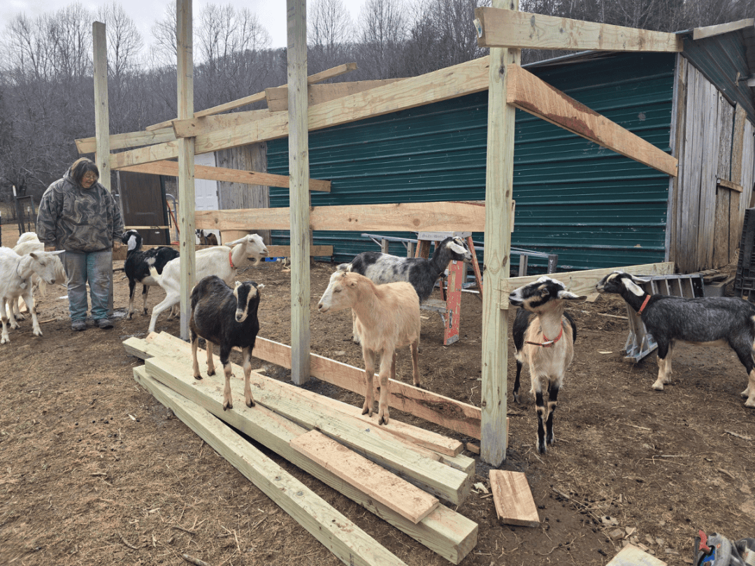 goat house Burnsville Western North Carolina