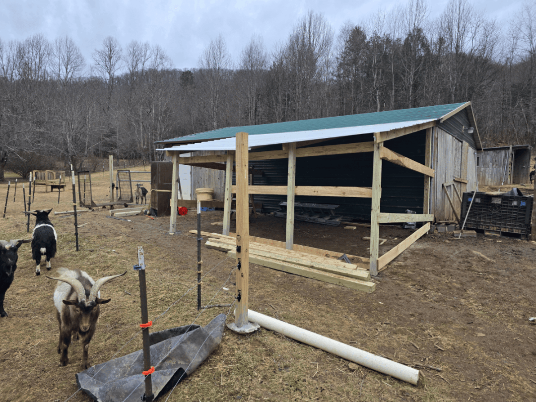 goat house Burnsville Western North Carolina
