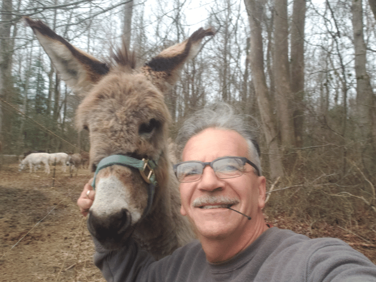 tony and cookie old cowboy animal rescue