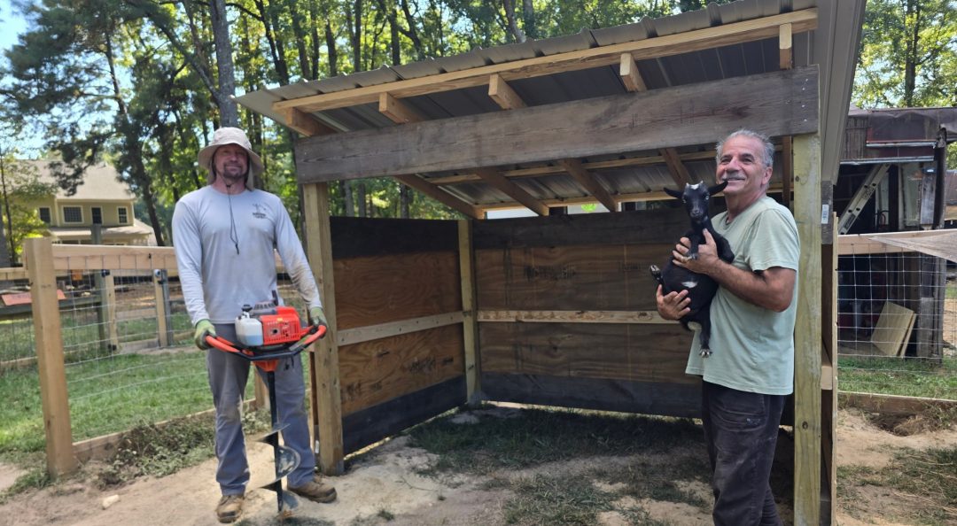 the goat house I built