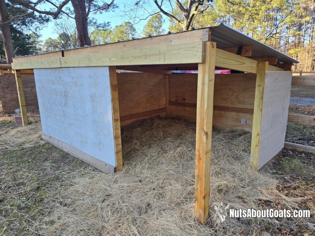 Goats Images Wide duplex goat house with hay